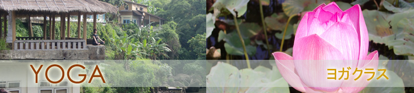 yoga ���K�N���X
